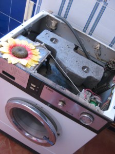 camara 002