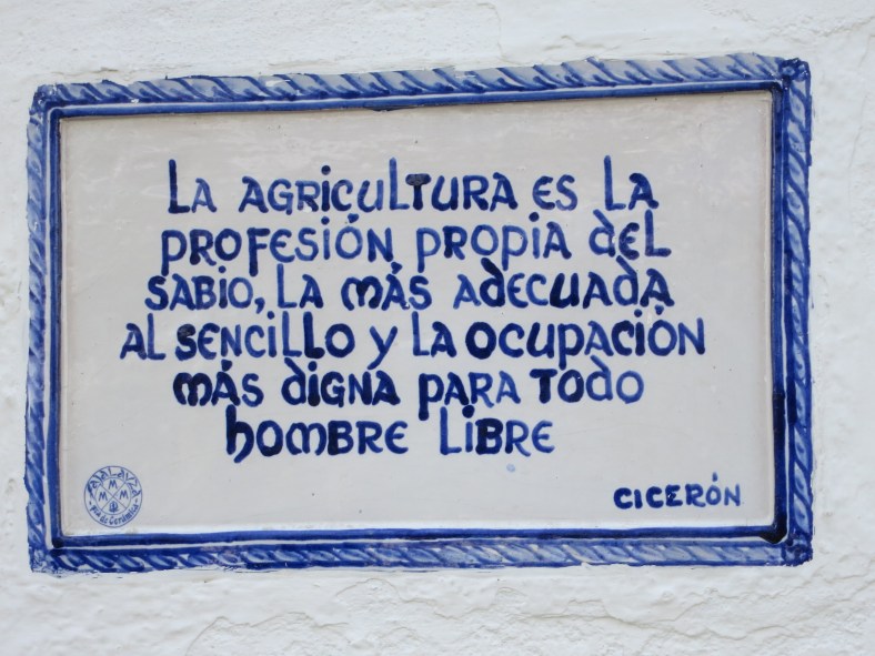 Fuente de San Isidro I