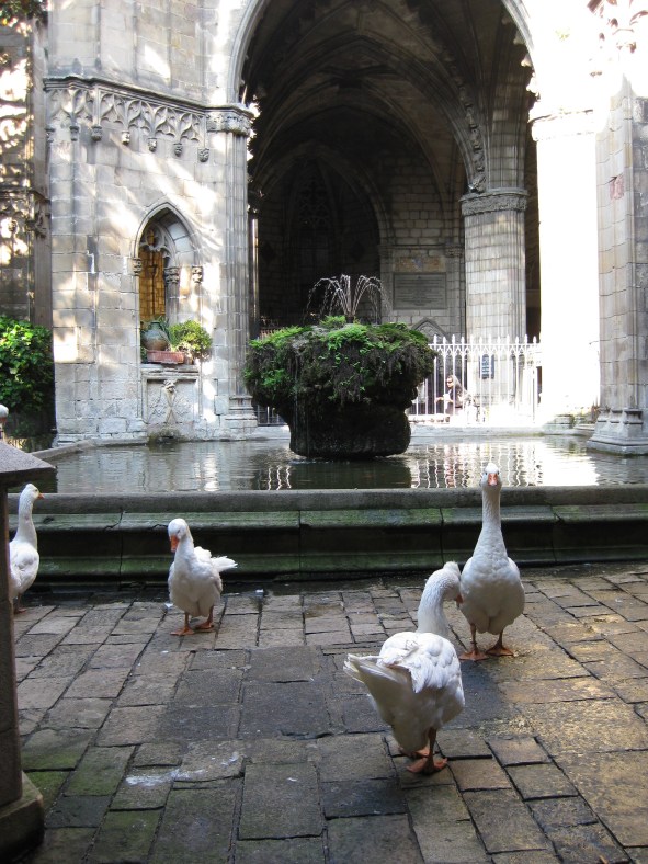Patio de la catedral de Barcelona