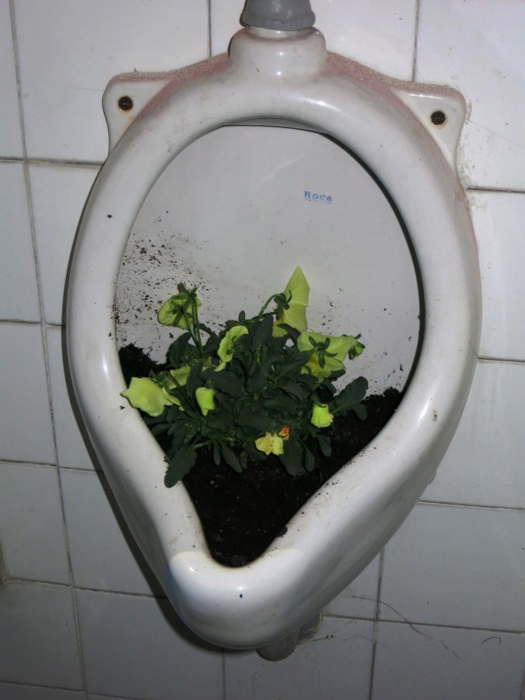 Flores en otro jardín