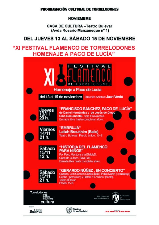 flamenco Torrelodones