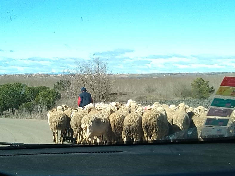 Últimas Fotos desde Marte