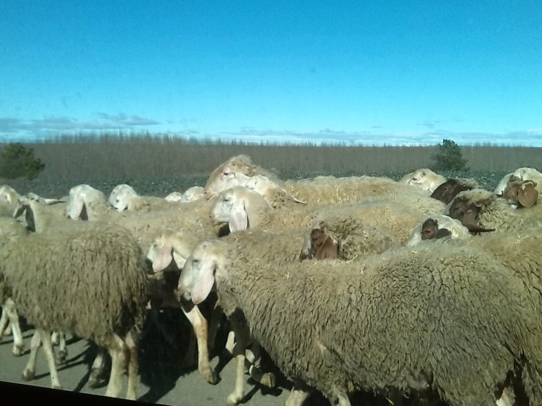 Últimas Fotos desde Marte