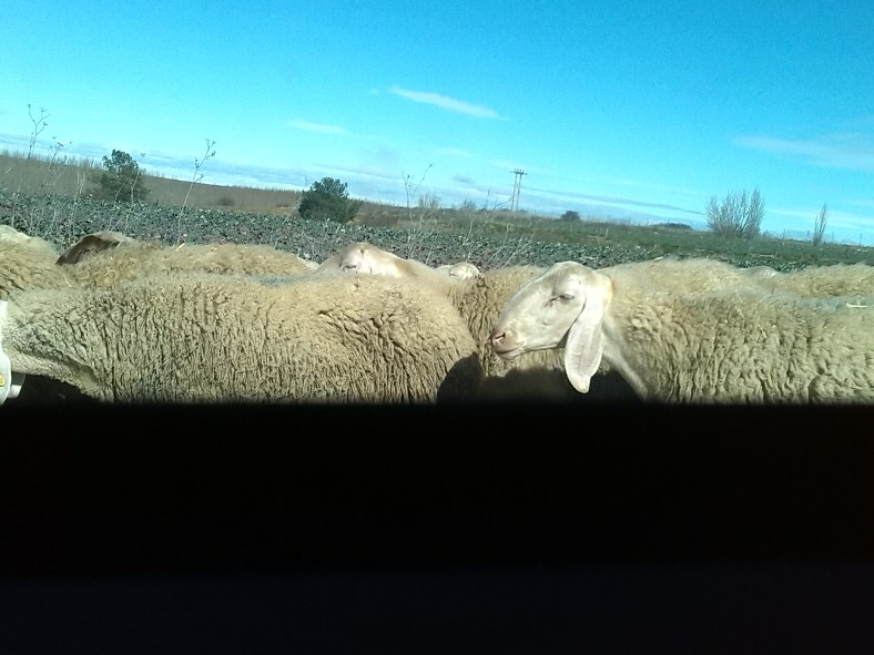 Últimas Fotos desde Marte