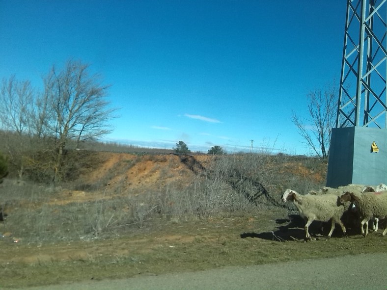 Últimas Fotos desde Marte