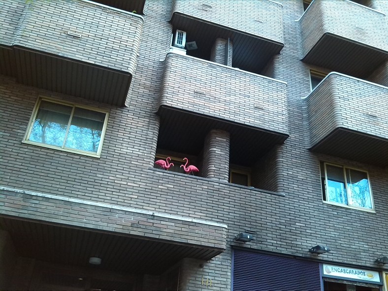 Flamencos urbanos