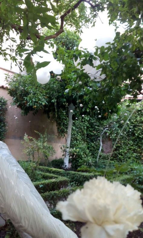 Jardin museo-casa Lope