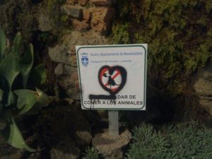 Dar de comer a los animales