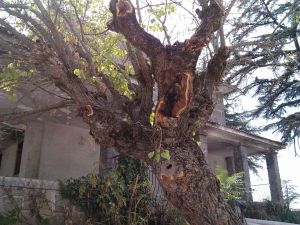 Cosntrucción y Deconstrucción