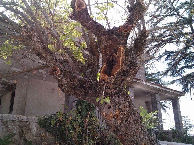 Cosntrucción y Deconstrucción