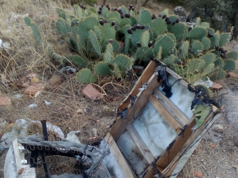 Arte en territorios abandonados