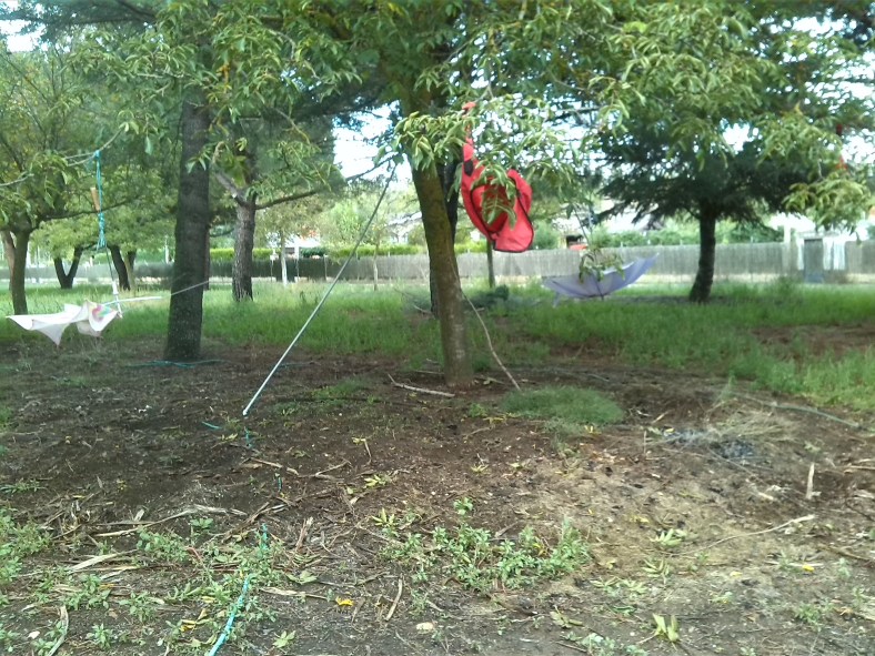 Exposición con la naturaleza