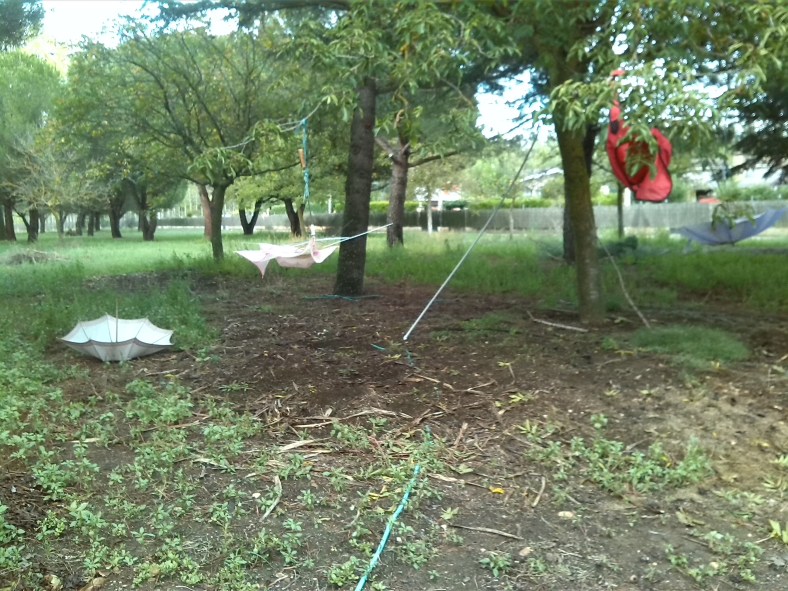 Exposición con la naturaleza