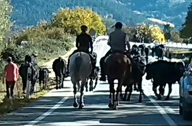 Tráfico alternativo