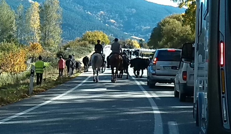 Tráfico alternativo