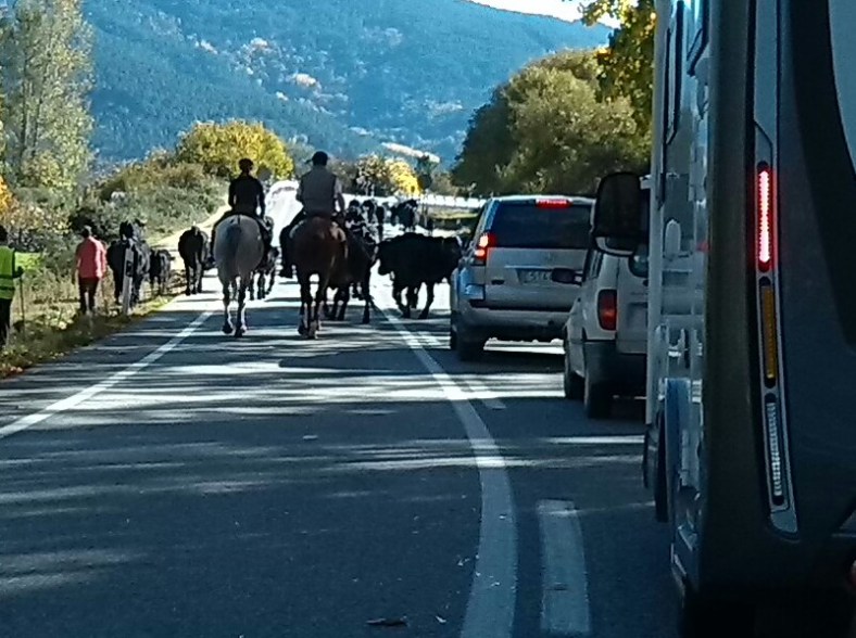 Tráfico alternativo