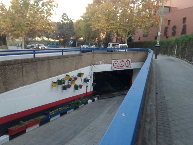 Flores para descontaminar