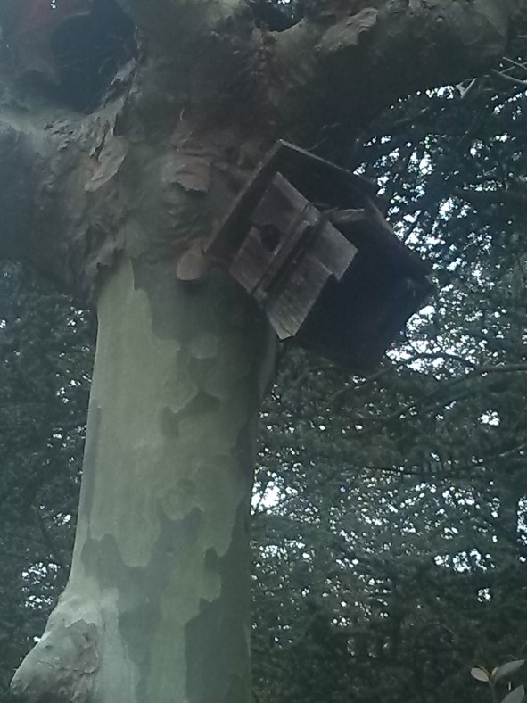 Desahucio de la naturaleza