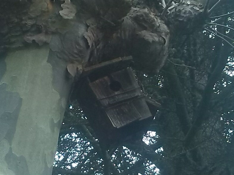 Desahucio de la naturaleza