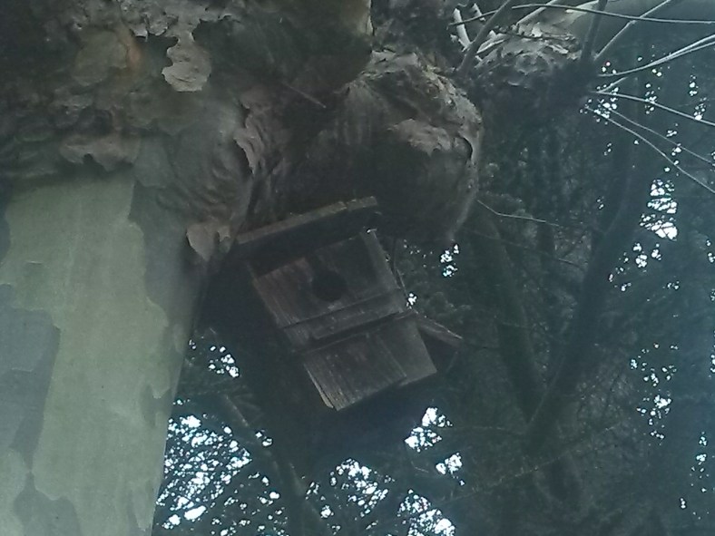 Desahucio de la naturaleza