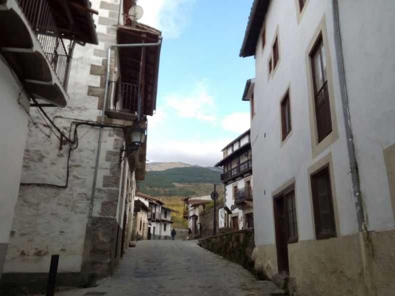 Candelario