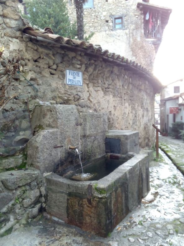 Candelario