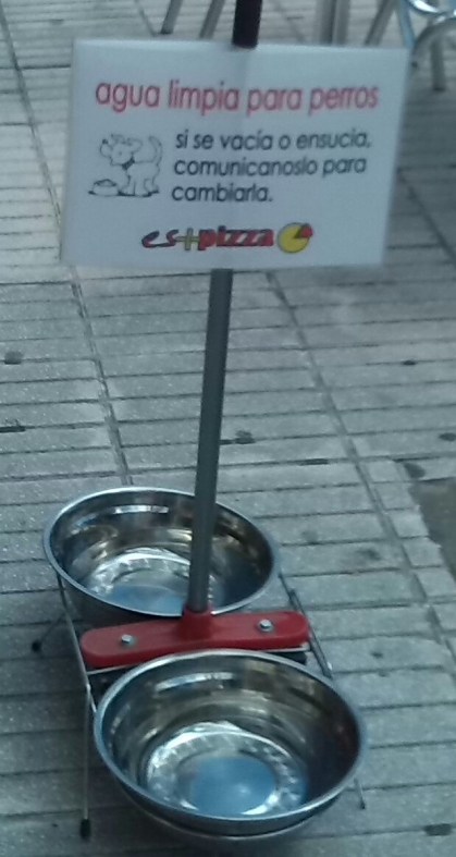 Agua para saciar la sed