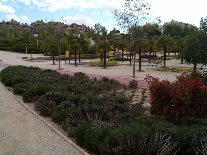 Parque