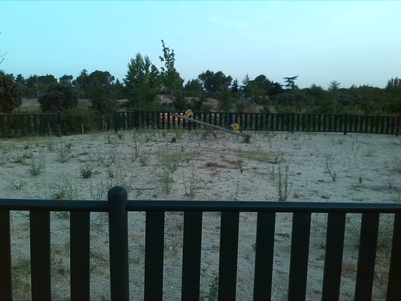 Desierto sin Infancia