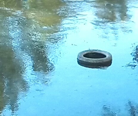 Neumático aprendiendo a nadar