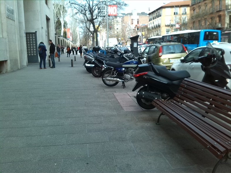 ¿Motos salvajes o domesticadas?