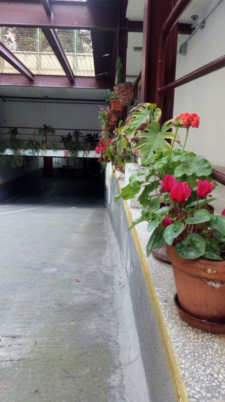 Comando de la naturaleza