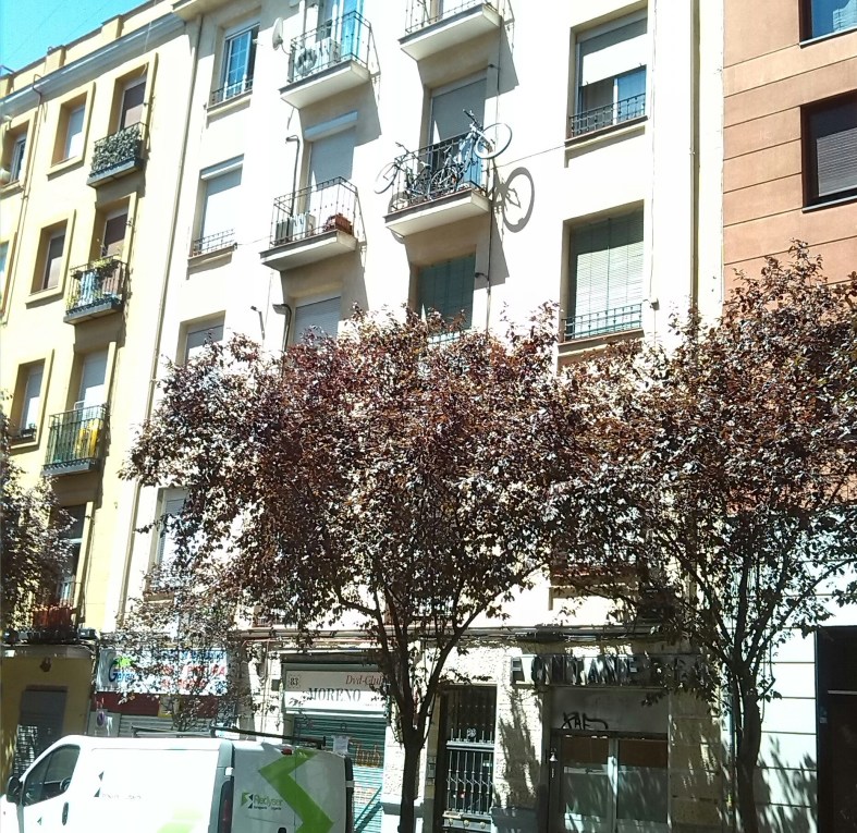 Bicicletas o macetas?