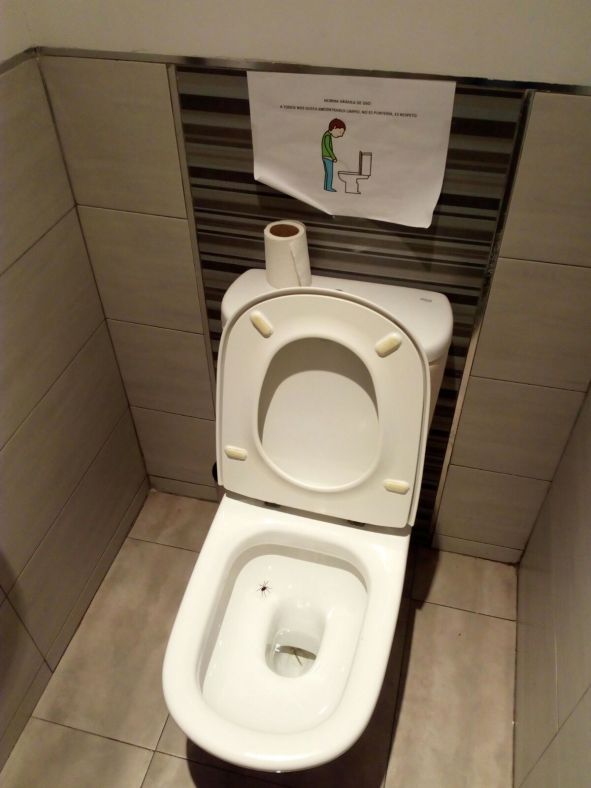 Instrucciones de uso