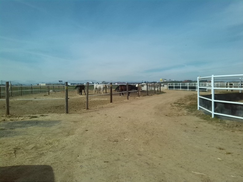 Mediático&auténtico