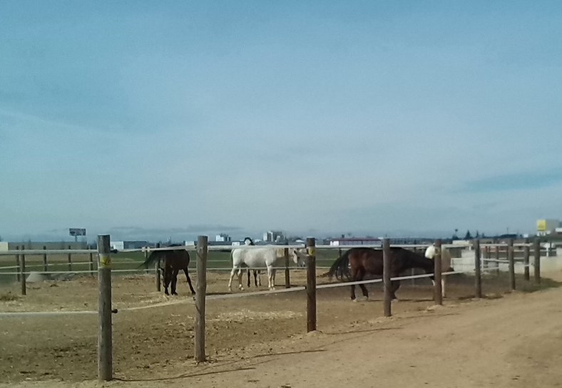 Mediático&auténtico