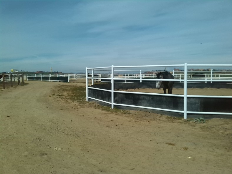 Mediático&auténtico