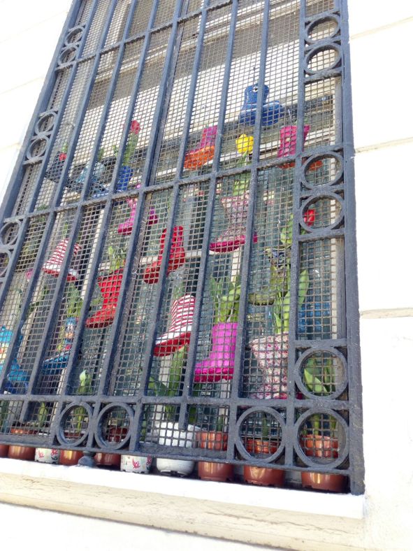 Escaparate climático