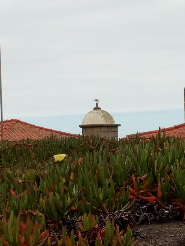 Fuerte do Queijo o Fortaleza de san Francisco