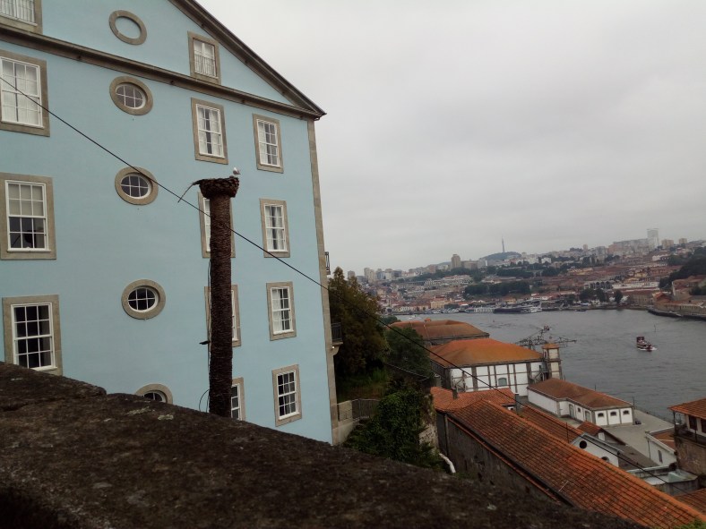 Vistas desde el Duero