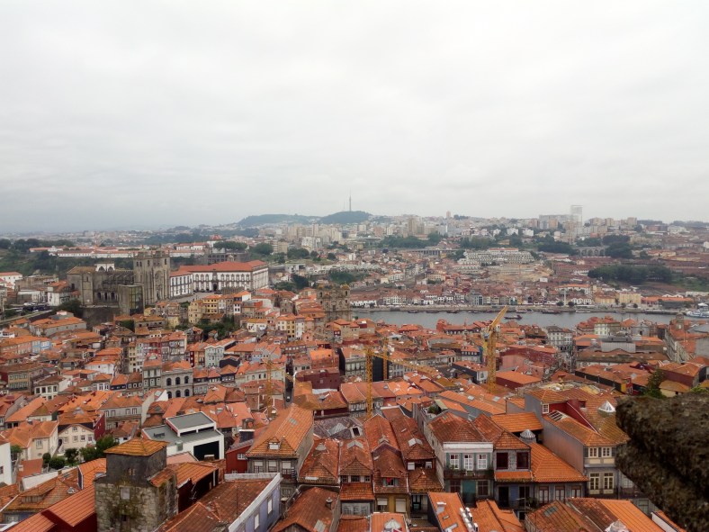 Vistas desde el Duero