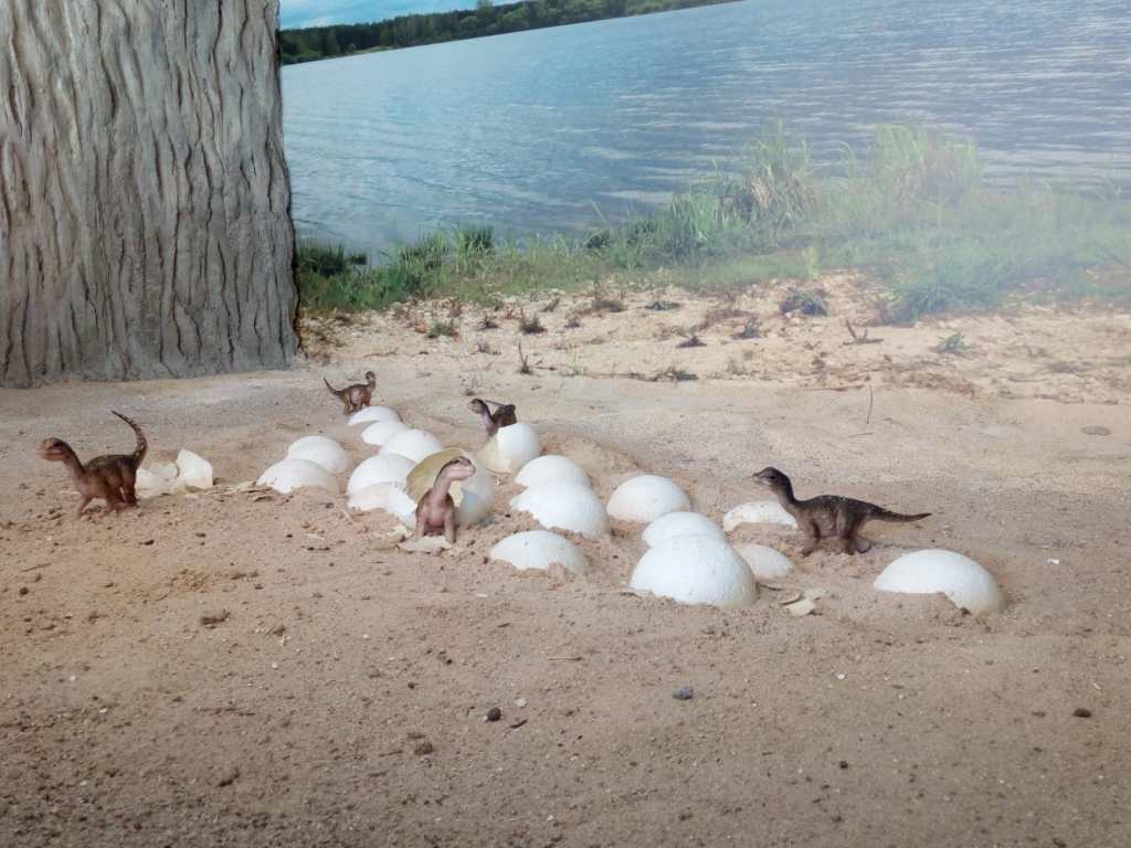 Museo Paleontológico