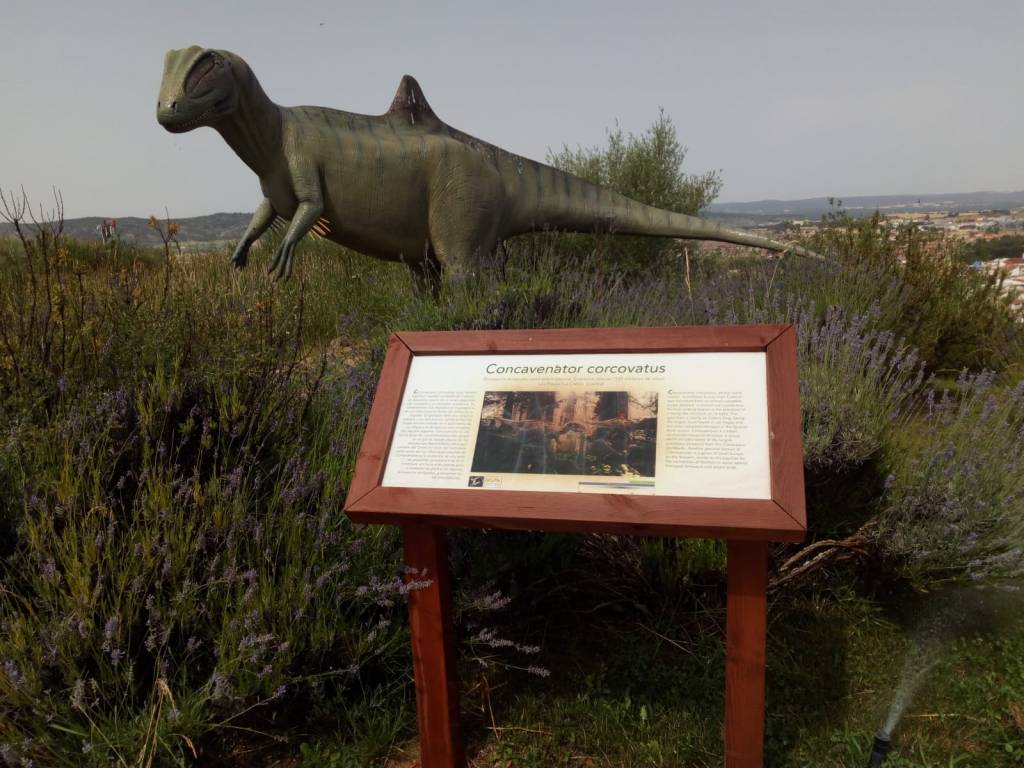 Museo Paleontológico